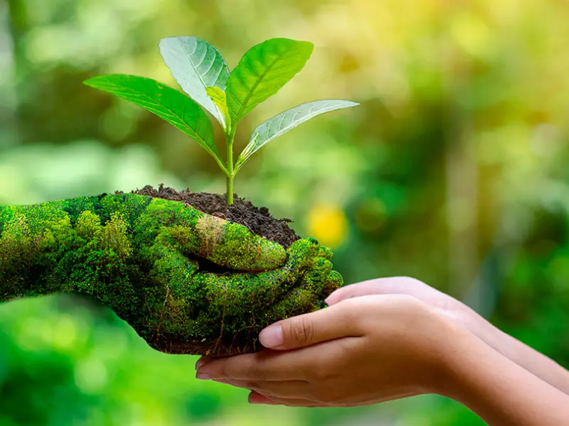 Progetto-ecologia
